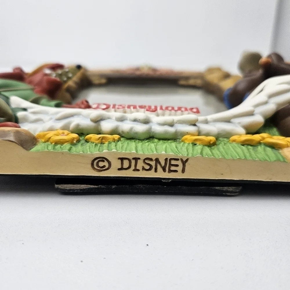 Rare splash Mountain picture frame